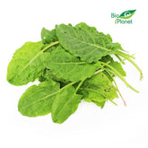 Oseille fraîche BIO (Polonaise) (environ 100 g)